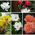 Thành lập doanh nghiệp tại Huyện Sóc Sơn 4 Muốn thành lập công ty tại Huyện Sóc Sơn