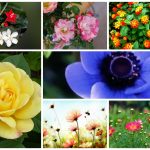 Thành lập doanh nghiệp tại Huyện Thủy Nguyên 6 Muốn thành lập công ty tại Huyện Thủy Nguyên