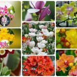 Thành lập doanh nghiệp tại Quận Long Biên 6 Muốn thành lập công ty tại Quận Long Biên