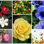 Thành lập doanh nghiệp tại Thành phố Đà Nẵng 6 Muốn thành lập công ty tại Thành phố Đà Nẵng