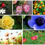Muốn thành lập công ty tại Thành phố Hải Phòng