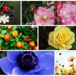 Muốn thành lập công ty tại Thành phố Thủ Dầu Một