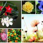 Thành lập doanh nghiệp tại Thành phố Thuận An 6 Muốn thành lập công ty tại Thành phố Thuận An