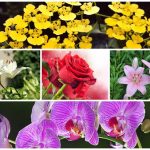 Thành lập văn phòng đại diện tại Bắc Kạn 6 Muốn thành lập văn phòng đại diện tại Bắc Kạn