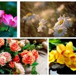 Thành lập văn phòng đại diện tại Nha Trang 6 Muốn thành lập văn phòng đại diện tại Nha Trang