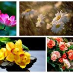 Thành lập văn phòng đại diện tại Phú Yên 6 Muốn thành lập văn phòng đại diện tại Phú Yên