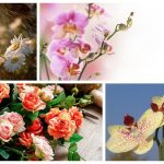 Thành lập văn phòng đại diện tại Sóc Trăng 6 Muốn thành lập văn phòng đại diện tại Sóc Trăng