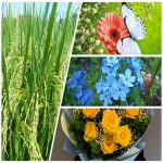 Thành lập văn phòng đại diện công ty nước ngoài tại Huyện Ứng Hòa 7 Muốn thành lập văn phòng đại diện công ty nước ngoài Huyện Ứng Hòa