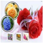Thay đổi thành viên góp vốn công ty TNHH 2 thành viên Bắc Giang 6 Thay đổi thành viên góp vốn công ty TNHH 2TV trở lên tại Bắc Giang