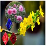 Thay đổi thành viên góp vốn công ty TNHH 2 thành viên Đà Nẵng 6 Thay đổi thành viên góp vốn công ty TNHH 2TV trở lên tại Đà Nẵng