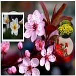 giayphepgm.com-muon-thay-doi-thanh-vien-gop-von-cong-ty-tnhh-2-thanh-vien-tro-len-tai-an-giang