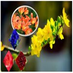 Thay đổi thành viên góp vốn công ty TNHH 2 thành viên Huyện Đông Anh 6 Thay đổi thành viên góp vốn công ty TNHH 2TV trở lên tại Huyện Đông Anh