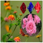 Thay đổi thành viên góp vốn công ty TNHH 2 thành viên Huyện Gia Lâm 6 Thay đổi thành viên góp vốn công ty TNHH 2TV trở lên tại Huyện Gia Lâm