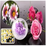 Thay đổi thành viên góp vốn công ty TNHH 2 thành viên Huyện Hòa Vang 6 Thay đổi thành viên góp vốn công ty TNHH 2TV trở lên tại Huyện Hòa Vang