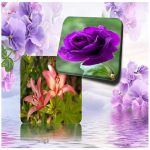 Thay đổi thành viên góp vốn công ty TNHH 2 thành viên Huyện Vĩnh Thạnh 6 Thay đổi thành viên góp vốn công ty TNHH 2TV trở lên tại Huyện Vĩnh Thạnh
