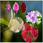 Thay đổi thành viên góp vốn công ty TNHH 2 thành viên Quận 6 6 Thay đổi thành viên góp vốn công ty TNHH 2TV trở lên tại Quận 6
