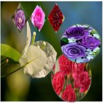 Thay đổi thành viên góp vốn công ty TNHH 2 thành viên Quận Ba Đình 6 Thay đổi thành viên góp vốn công ty TNHH 2TV trở lên tại Quận Ba Đình