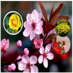 Thay đổi thành viên góp vốn công ty TNHH 2 thành viên Quận Bắc Từ Liêm 6 Thay đổi thành viên góp vốn công ty TNHH 2TV trở lên tại Quận Bắc Từ Liêm