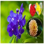 Thay đổi thành viên góp vốn công ty TNHH 2 thành viên Quận Gò Vấp 6 Thay đổi thành viên góp vốn công ty TNHH 2TV trở lên tại Quận Gò Vấp