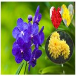Thay đổi thành viên góp vốn công ty TNHH 2 thành viên Thị xã Sơn Tây 6 Thay đổi thành viên góp vốn công ty TNHH 2TV trở lên tại Thị xã Sơn Tây