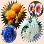 Xin giấy chứng nhận đầu tư cho người nước ngoài tại An Giang 6 Xin giấy chứng nhận đầu tư cho người nước ngoài An Giang