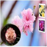 Xin giấy chứng nhận đầu tư cho người nước ngoài Hà Nội