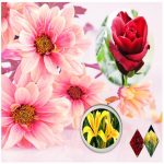 Xin giấy chứng nhận đầu tư cho người nước ngoài Nghệ An