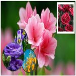 Xin giấy phép an ninh trật tự tại Bà Rịa Vũng Tàu 6 Cần xin giấy phép ANTT tại Bà Rịa Vũng Tàu