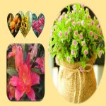 Xin giấy phép an ninh trật tự tại Huyện Bình Chánh 6 Cần xin giấy phép ANTT tại Huyện Bình Chánh