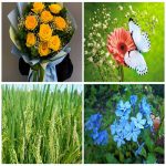 Xin giấy phép an ninh trật tự tại TPHCM 6 Cần Xin giấy phép ANTT tại TPHCM