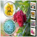 Xin giấy phép công bố thực phẩm nhập khẩu Bến Tre 6 Dịch vụ xin giấy phép công bố thực phẩm nhập khẩu