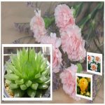 Xin giấy phép công bố thực phẩm nhập khẩu Hải Dương 6 Dịch vụ xin giấy phép công bố thực phẩm nhập khẩu