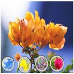 Xin giấy phép công bố thực phẩm nhập khẩu Huyện Chương Mỹ 6 Dịch vụ xin giấy phép công bố thực phẩm nhập khẩu