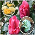 Xin giấy phép công bố thực phẩm nhập khẩu Huyện Đan Phượng 6 Dịch vụ xin giấy phép công bố thực phẩm nhập khẩu