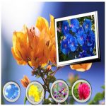 Dịch vụ xin giấy phép công bố thực phẩm nhập khẩu