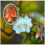Xin giấy phép công bố thực phẩm nhập khẩu Huyện Gia Lâm 6 Dịch vụ xin giấy phép công bố thực phẩm nhập khẩu huyện gia lâm