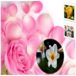 Xin giấy phép công bố thực phẩm nhập khẩu TP Hà Nội 6 Dịch vụ xin giấy phép công bố thực phẩm nhập khẩu