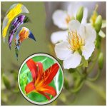 Xin giấy phép tư vấn du học Nam Định 6 Dịch vụ xin giấy phép tư vấn du học Nam Định