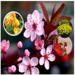 Chữ ký số Viettel Huyện Hoài Đức 6 Muốn mua CKS Viettel ở Huyện Hoài Đức