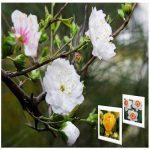 Chữ ký số Viettel Quận Thanh Xuân 6 Muốn mua CKS Viettel ở Quận Thanh Xuân