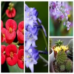 Những cơ sở cần có giấy chứng nhận vệ sinh an toàn thực phẩm 14 giấy chứng nhận vệ sinh an toàn thực phẩm