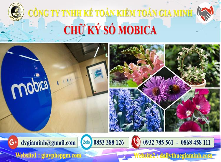 Thủ tục bảng giá chữ ký số Mobifone Quận Thốt Nốt 