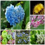Tìm dịch vụ kế toán ở Huyện An Dương