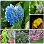 Tìm dịch vụ kế toán ở Huyện đảo Cát Hải