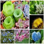Công ty dịch vụ kế toán ở Huyện Thủy Nguyên 6 Tìm dịch vụ kế toán ở Huyện Thủy Nguyên