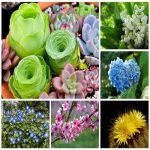 Công ty dịch vụ kế toán ở Huyện Vĩnh Bảo 6 Tìm dịch vụ kế toán ở Huyện Vĩnh Bảo