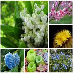 Công ty dịch vụ kế toán ở Quận Cẩm Lệ 6 Tìm dịch vụ kế toán ở Quận Cẩm Lệ