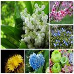 Tìm dịch vụ kế toán ở Quận Hải An