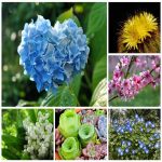 Tìm dịch vụ kế toán ở Quận Kiến An