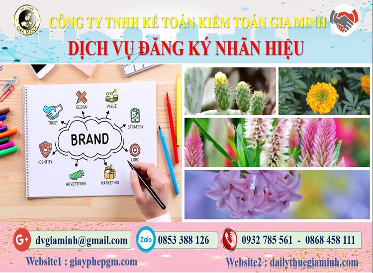 Đăng ký bảo hộ nhãn hiệu tại Cần Thơ 4 Thủ tục đăng ký bảo hộ nhãn hiệu Cần Thơ